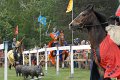 ADSC_6598 (358)
